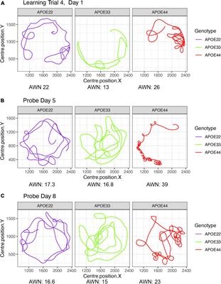 Absolute Winding Number Differentiates Mouse Spatial Navigation Strategies With Genetic Risk for Alzheimer’s Disease